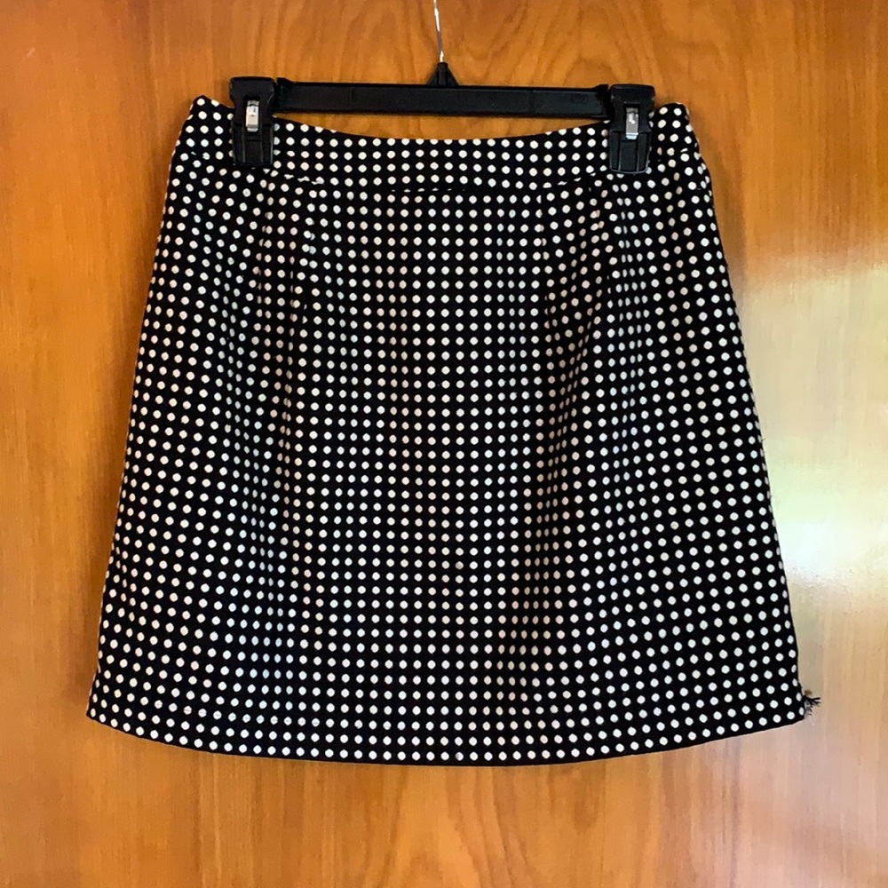 The Limited skirt